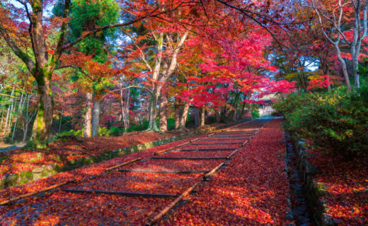 京都　毘沙門堂の紅葉